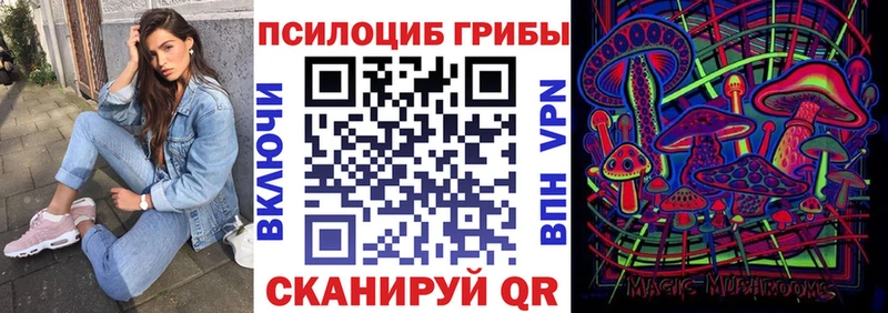 Псилоцибиновые грибы Psilocybe Керчь