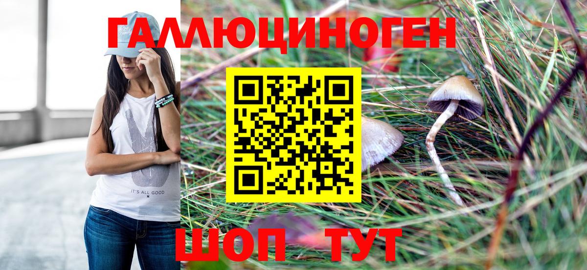 Галлюциногенные грибы прущие грибы  Вход с VPN  Галлюциногенные грибы прущие грибы  Керчь 