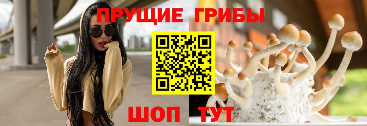 Галлюциногенные грибы мухоморы Керчь